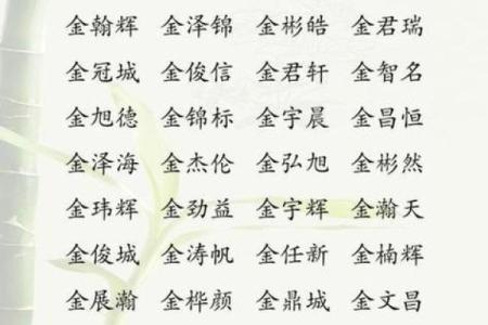 金姓男孩名字大全-金姓男孩起名字大全-金姓名字大全姓名